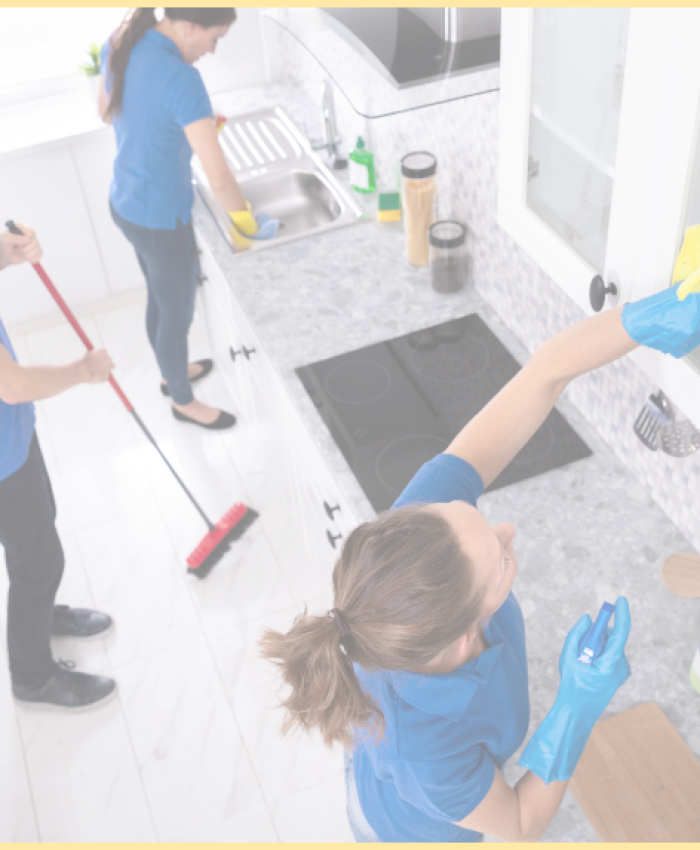 Move Out Cleaning in Bellevue: What Renters and Homeowners Need to Know”